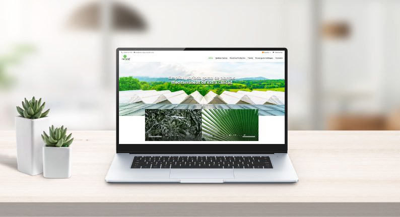 Diseño de Tienda Online para Aceites Echinac