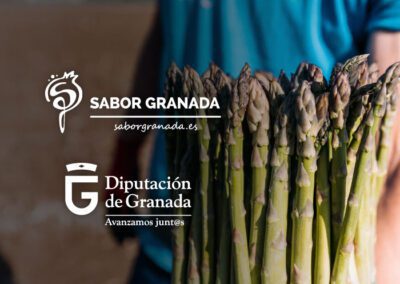 Campañas Sabor Granada, Diputación de Granada