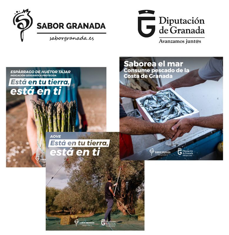 Diseño gráfico para las campañas de Sabor Granada