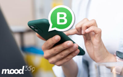 Whatsapp Business – Todo lo que necesitas saber