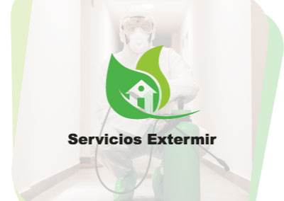 Servicios Extermir Servicios Extermir