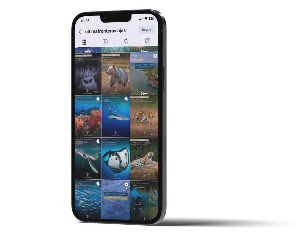 Diseño web realizado a Asesora2