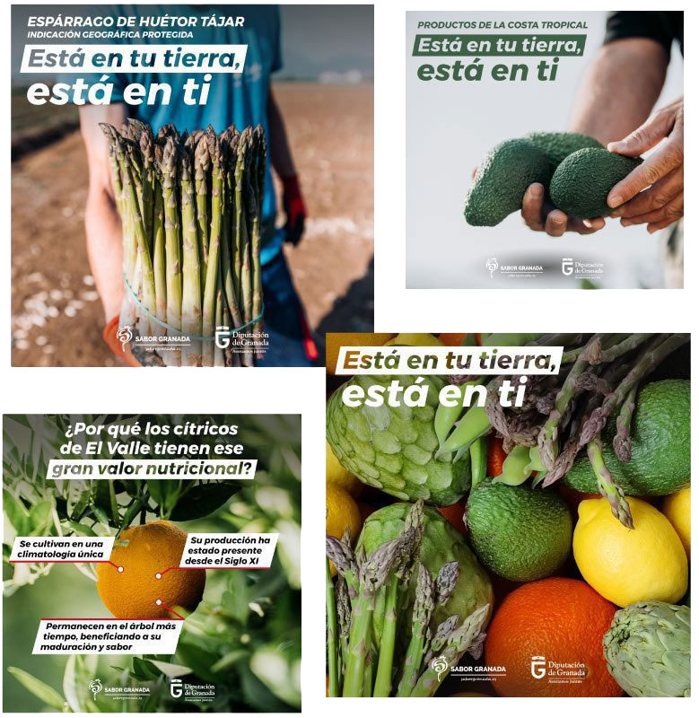 Campaña de marketing online para Sabor Granada