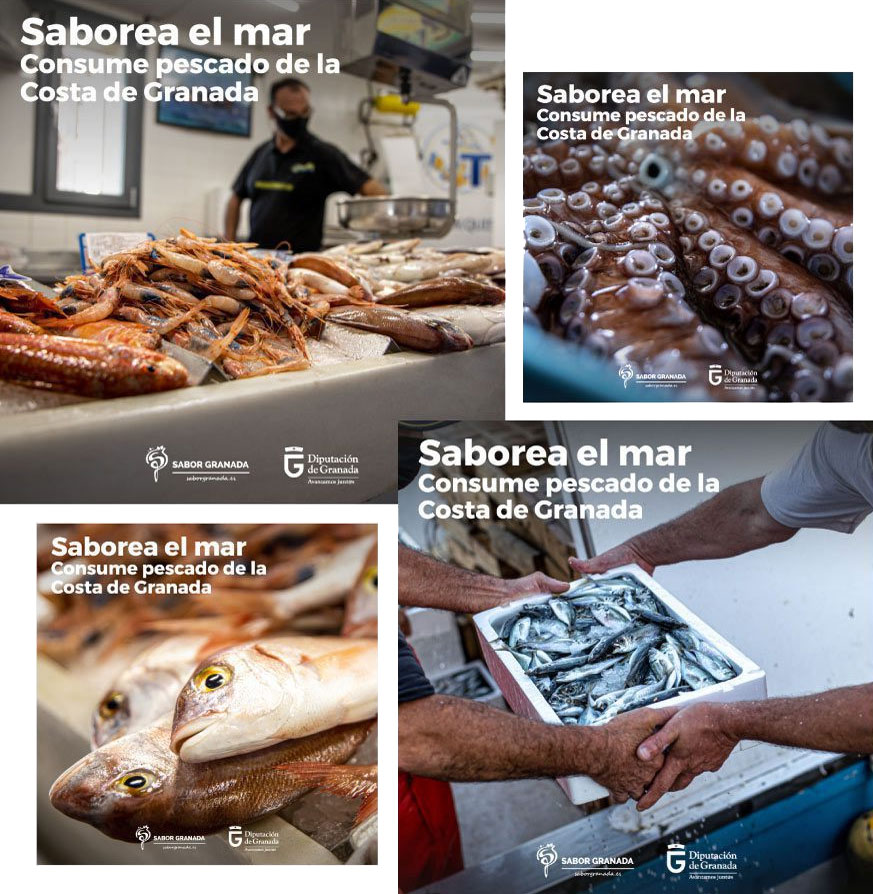 Campaña de marketing digital para Sabor Granada